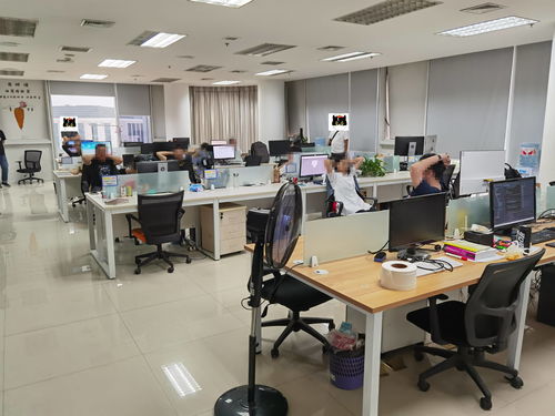 技術開發成幫兇，浠水警方雷霆出擊斬斷涉詐APP黑色產業鏈